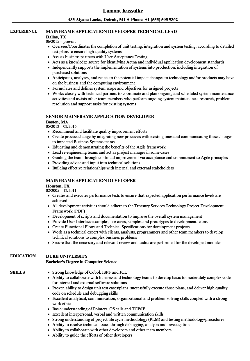 Sample Resume For Developer Formats And Templates